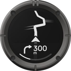 Beeline Moto 2 GPS Navi Gunmetal Grau