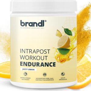 Brandl-Nutrition Ausdauer-Drink Isotonisches Getränk Zitrone, 600 g
