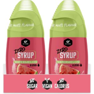 Go Fitness Zero Syrup – 16 x 65 ml Wassermelone 1040