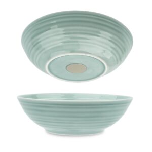 Silwy Magnet-Porzellan-Food-Bowls CYAN 20 cm