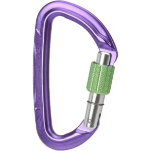 Wild Country Carabiner Session Screw Gate Lila