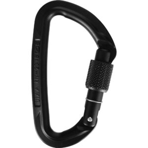 Wild Country Carabiner Session Screw Gate Schwarz