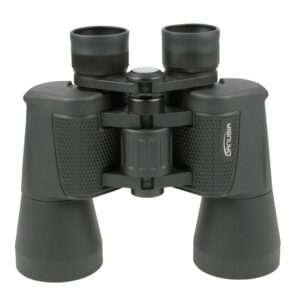 Dörr Fernglas Danubia Alpina LX 8×40