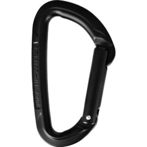 Wild Country Carabiner Session Straight Gate Schwarz