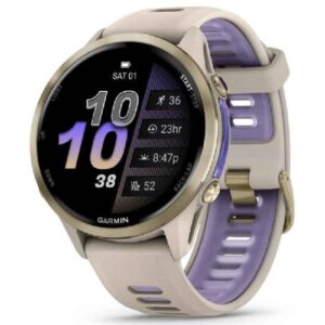 GARMIN Forerunner 970 Gray/Indigo