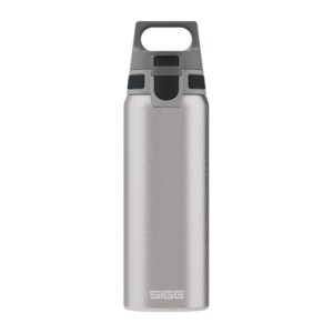 Sigg Trinkflasche Shield One 0.75 l Brushed