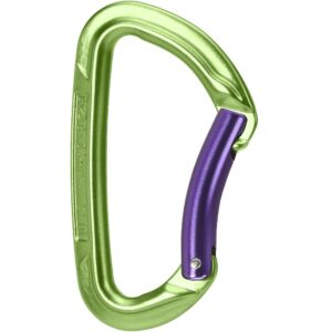 Wild Country Carabiner Session Bent Gate Grün