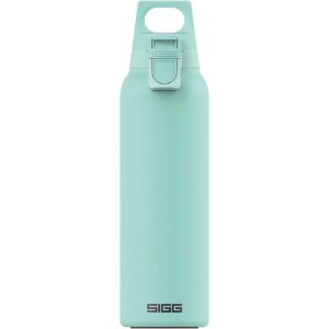 Sigg Thermosflasche H&C ONE 0.55 l Light Glacier