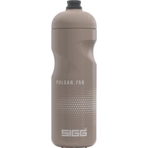 Sigg Trinkflasche Pulsar 0.75 l Dusk