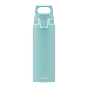 Sigg Trinkflasche Shield One 0.75 l Glacier