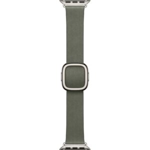 Apple Modern Buckle 42 mm Sage Gray Medium