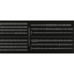 FTM Dartmatte 80 x 285 cm