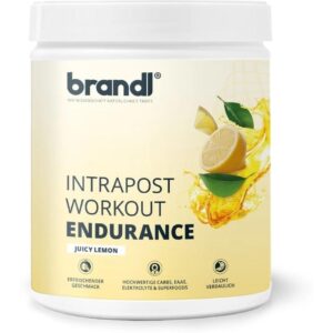 Brandl-Nutrition Ausdauer-Drink Isotonisches Getränk Zitrone, 600 g