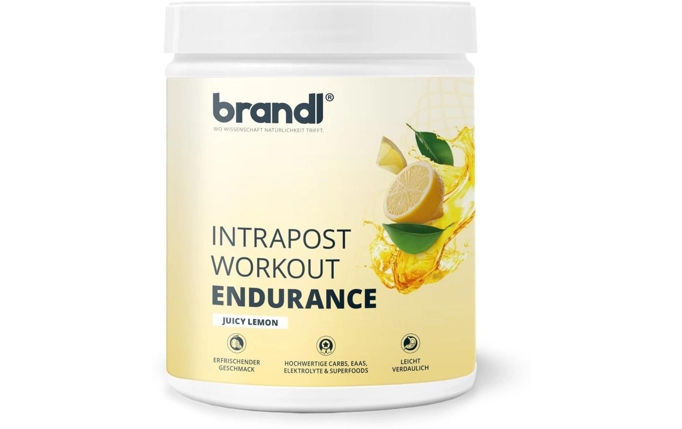Brandl-Nutrition Ausdauer-Drink Isotonisches Getränk Zitrone, 600 g